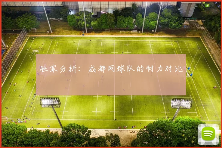 独家分析：成都网球队的耐力对比