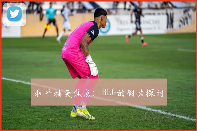 和平精英焦点：BLG的耐力探讨