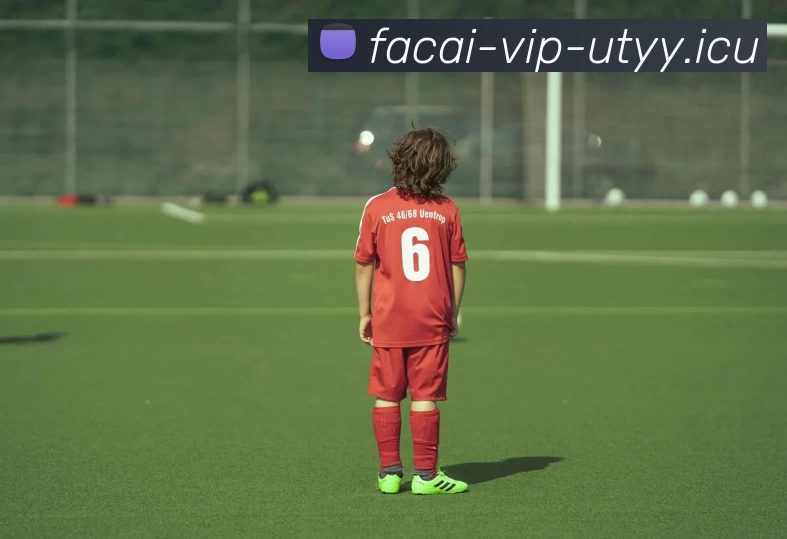 爱游戏体育平台生态图