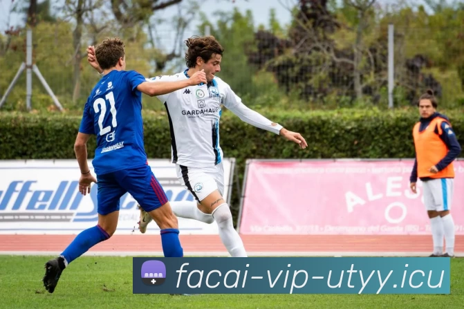 爱游戏体育全站App